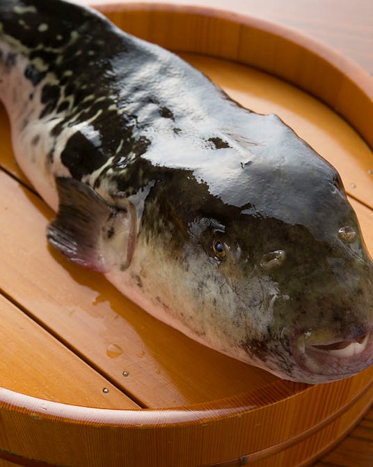 天然ふぐ はも 美津富 なんば 難波 ふぐ ふぐ料理 ぐるなび