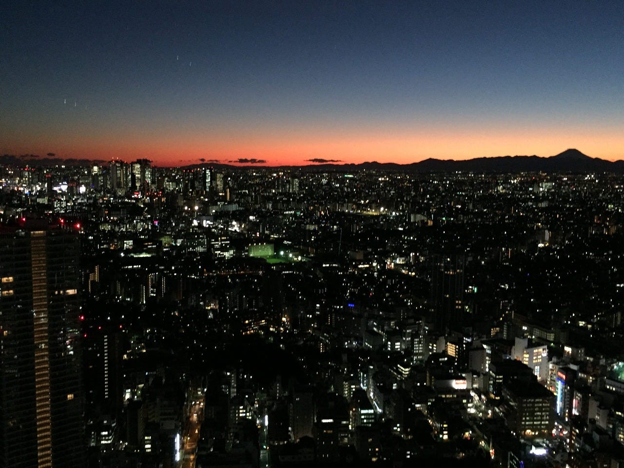 天空の庭 星のなる木