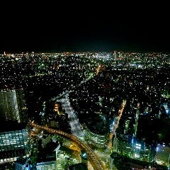 正面には新宿摩天楼の夜景が一望できます