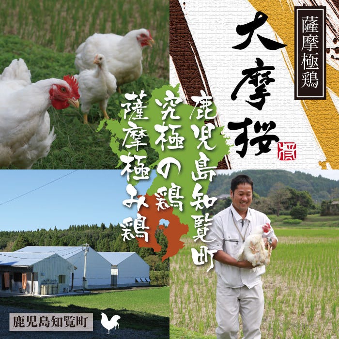 22年 最新グルメ 岩国のレストラン カフェ 居酒屋 ママにおすすめのお店のネット予約 山口版