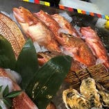 鮮魚【日本】