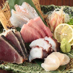 旬のお刺身