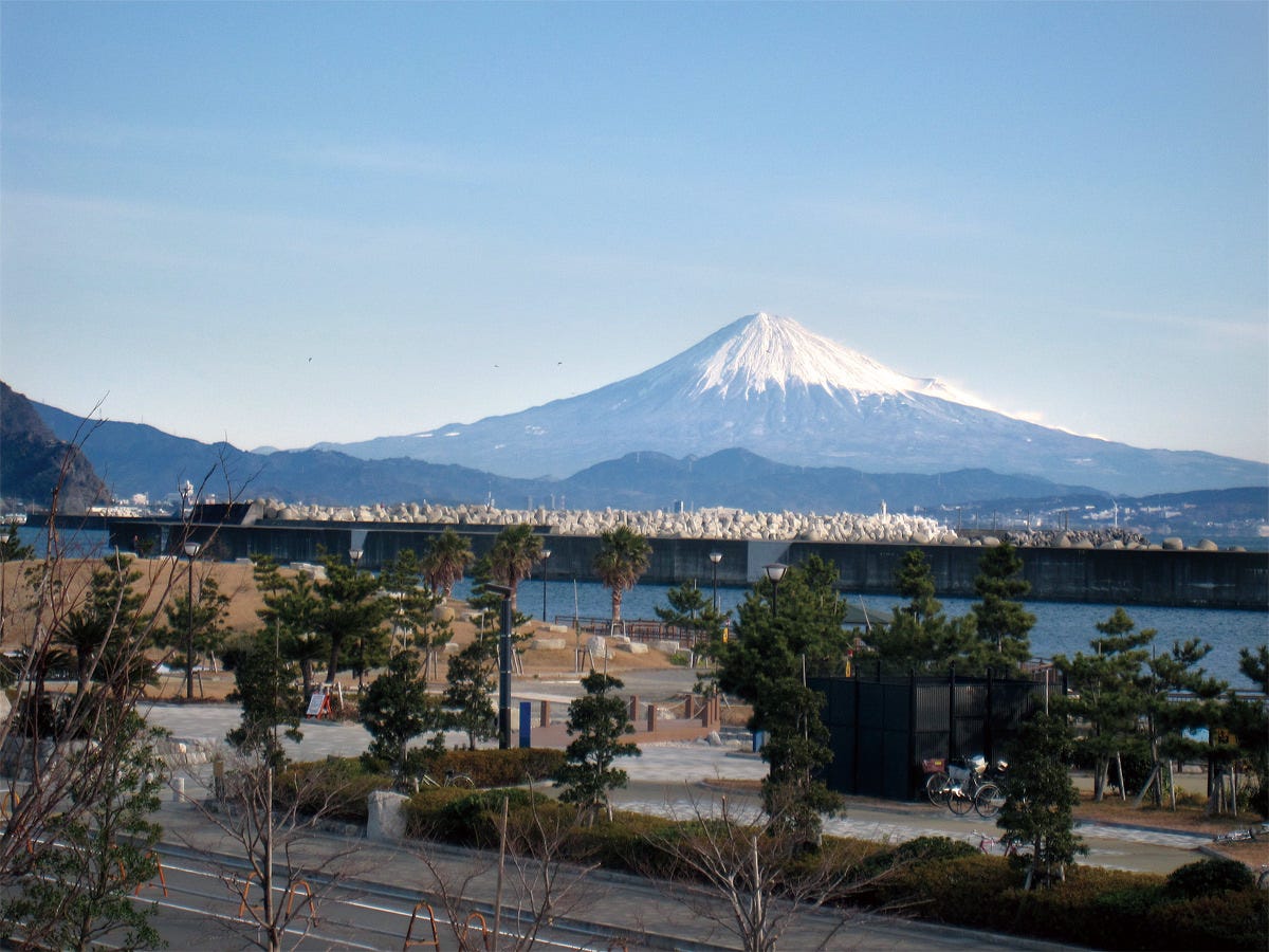 富士山が見える店内