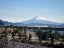 富士山が見える店内