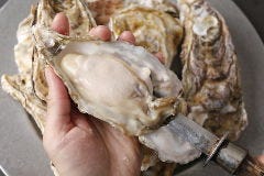 新宿 牡蠣入レ時_3300円　生・焼・蒸・揚　4種の食べ比べコース