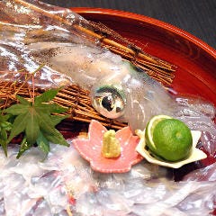 活きいか料理 割烹 いっか