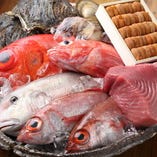 天然ものにこだわった新鮮魚介類