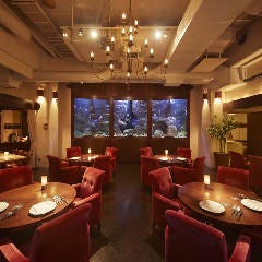 DEN AQUAROOM AOYAMA <アクアルーム青山>イメージ