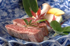 眞一館 八王子 宇津木亭