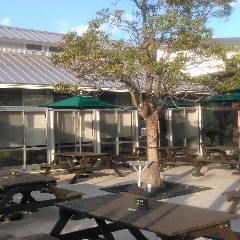 掛川 ランチ 子連れ 赤ちゃんok 個室 おすすめ人気レストラン ぐるなび