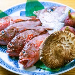 地魚料理 にしか和 