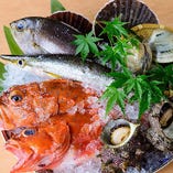 九州の海の幸に舌鼓♪
毎日新鮮な魚を仕入れています