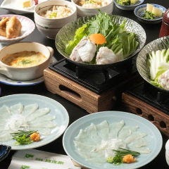 【至福】春のふぐ会席『涼風（りょうふう）』てっさ・鍋・グラタン・茶碗蒸しなど多彩な味わい全10品