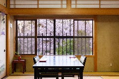 満開の桜は最高です