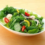 地元野菜の１０品目サラダ