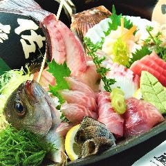 和歌山県串本漁港「産直鮮魚」
