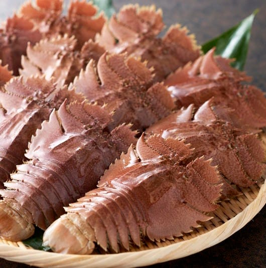 エビストロ Ebizo 柏東口店 自慢の食材 漁港直送活き 団扇海老 ぐるなび エビストロ Ebizo 柏東口店 自慢の食材 漁港直送活き 団扇海老 ぐるなび