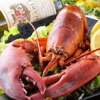 エビストロ Ebizo 柏本店 東口 メニュー 記念日 誕生日 ぐるなび