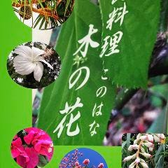 小料理 木の花