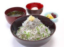 4月〜12月限定！生しらす丼