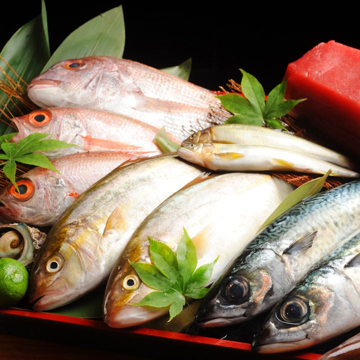 その日〆た最良の状態の鮮魚を使用
美味しい魚料理をご提供！