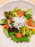 高知野菜サラダ