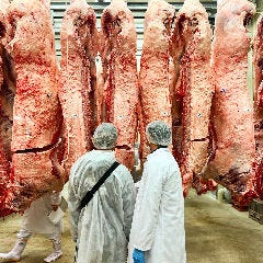 近江焼肉ホルモン すだく 草津店 