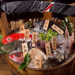 当店自慢の鮮魚たち。一番いい魚介はその日によって異なります。
