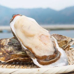 旬の生牡蠣もぜひ♪