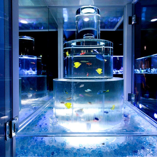 個室アクアリウムダイニング ドイストーリー 川口店 川口 東川口 居酒屋 ぐるなび 個室アクアリウムダイニング ドイストーリー 川口店 川口 東川口 居酒屋 ぐるなび