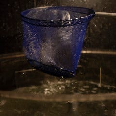居魚屋 漁恵丸 自慢の食材 商標登録ブランド鯖 漁恵丸さば ぐるなび