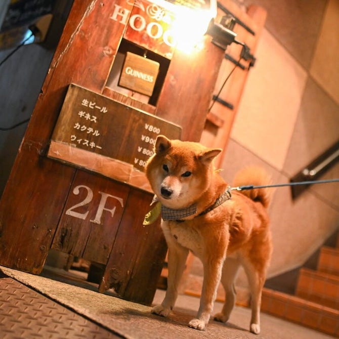 三宮 バー パブ Bar Hooch バー フーチ 三宮 バー ぐるなび