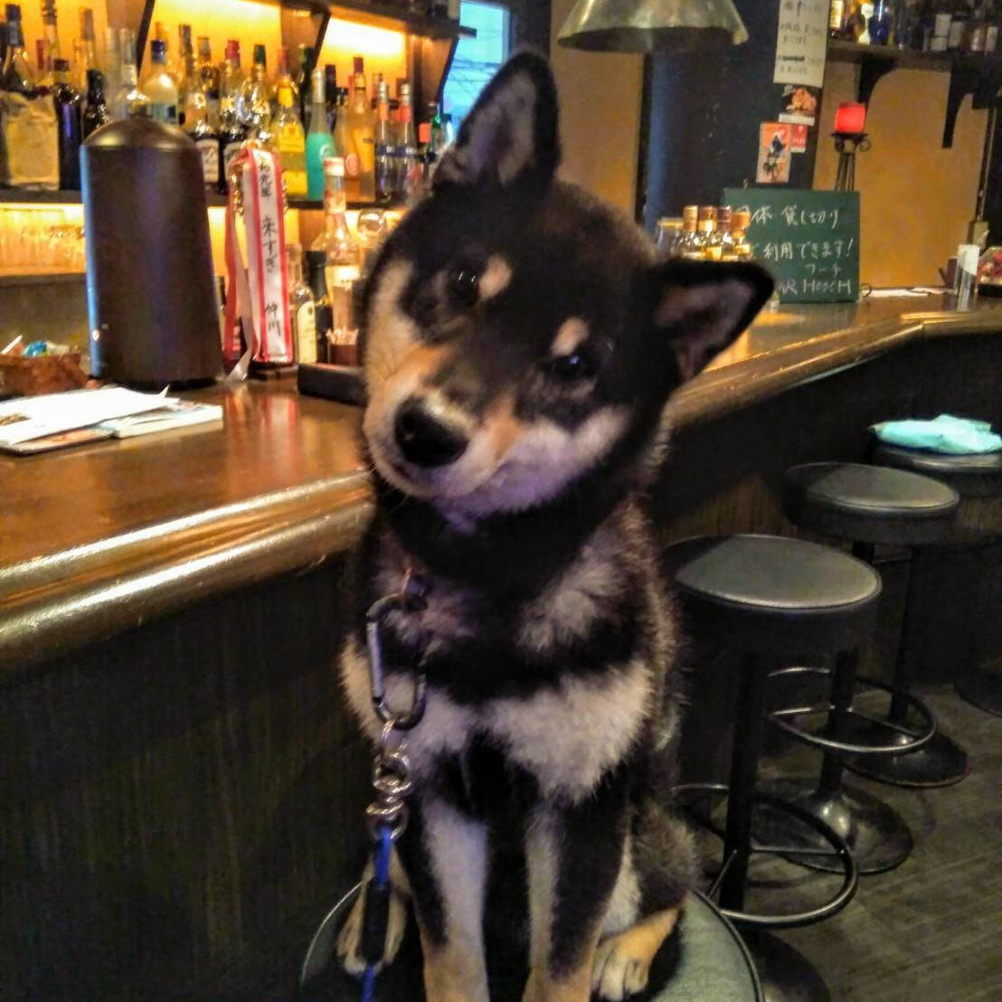 三宮 バー パブ Bar Hooch バー フーチ こだわり情報5 ぐるなび