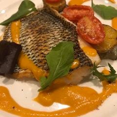 当店の魚は高知県の漁港さんから直接取り入れております。