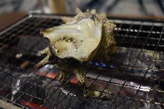 【個室完備】本マグロ 串カツ 餃子 大衆酒場 まじめや 四日市店