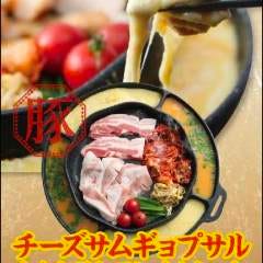 韓国屋台料理とプルコギ専門店 ヒョンチャンプルコギ松山二番町店