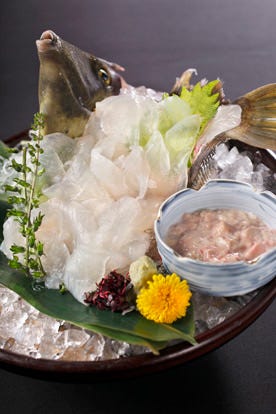 鮮魚と日本酒 魚ゆるり。 平塚  コースの画像