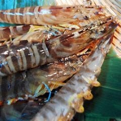 天ぷら 旬楽庵 おばた