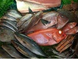 魚炉助 三島 居酒屋 ぐるなび