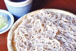 魚菴 小田原 南足柄 和食 ぐるなび