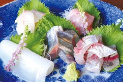 魚菴 小田原 南足柄 和食 ぐるなび