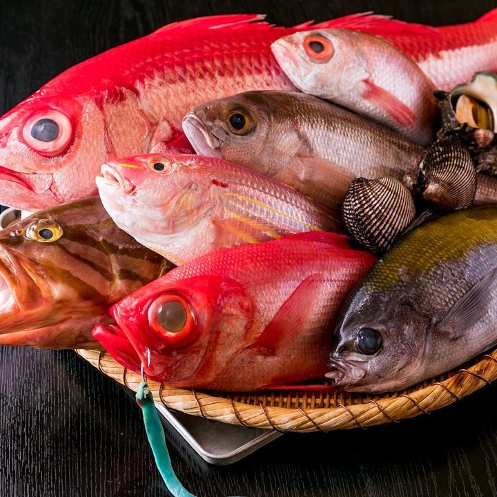 全国各地の“旬の魚介”が堪能できる