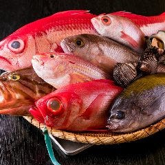 和食 こばやし 個室割烹_市場で仕入れる旬魚介や漁港から直送で仕入れる新鮮な魚をご提供
