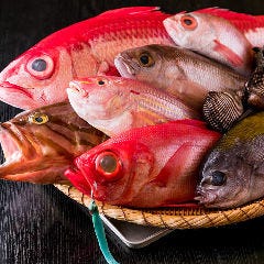 和食 こばやし 個室割烹_漁港に足を運んだり漁師さんから仕入れる鮮度抜群の旬魚。中には料理長が釣った魚も！