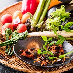 和食 こばやし 個室割烹_【鎌倉野菜や自家菜園の野菜を使用】
野菜は、四季折々に採れる季節野菜を使用しております。中には鎌倉野菜や、オーナーの自家菜園で採れた新鮮な農薬不使用野菜もございます。野菜は四季を感じる日本料理に欠かせない大切な食材。こだわりを持って仕入れております。