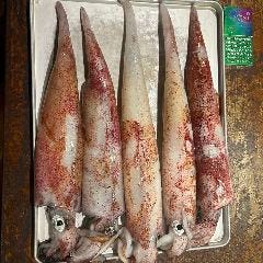 和食 こばやし 個室割烹_ケンサキイカ