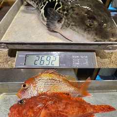 3〜4月:【春の特選】東京湾トラフグに挑戦!釣った旬魚を味わう特別メニュー 和食 こばやし_3〜4月:【春の特選】東京湾トラフグに挑戦!釣った旬魚を味わう特別メニュー