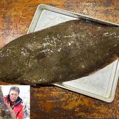 11〜12月:【極上の冬】旨みたっぷり「寒ビラメ」!北茨城で釣った旬魚を堪能 和食 こばやし_11〜12月:【極上の冬】旨みたっぷり「寒ビラメ」!北茨城で釣った旬魚を堪能