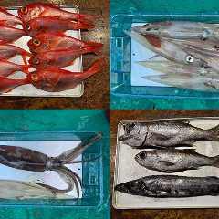 1〜2月:【冬の味覚】鴨川港でイカ釣り!金目鯛や黒ムツなど高級魚にも期待 和食 こばやし_1〜2月:【冬の味覚】鴨川港でイカ釣り!金目鯛や黒ムツなど高級魚にも期待