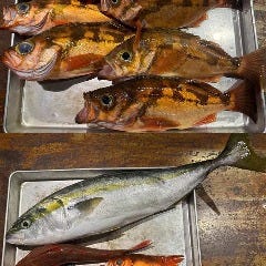 7〜8月:【夏の遠征】下田・銭州の岩礁釣り!クエやカンパチなど高級魚を狙う! 和食 こばやし_7〜8月:【夏の遠征】下田・銭州の岩礁釣り!クエやカンパチなど高級魚を狙う!